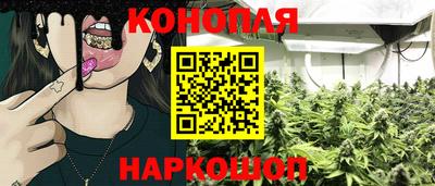 дмт Пушкино