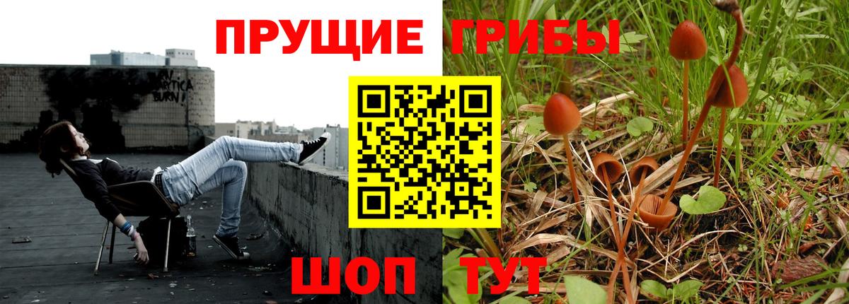 Полевской  цены   Вход с VPN  Псилоцибиновые грибы мицелий 