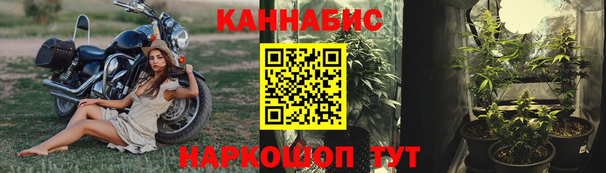 Полевской  Бошки марихуана гибрид  Вход с VPN  МАРИХУАНА THC 21%  Конопля семена 